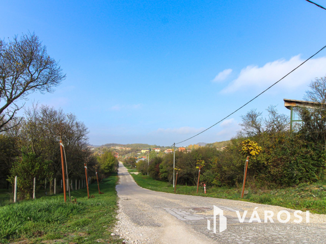 Elvonulni vágyók figyelmébe, panoráma, erdő a szomszéd