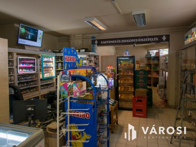 Lakás és üzlethelyiség eladó Kalocsán!
