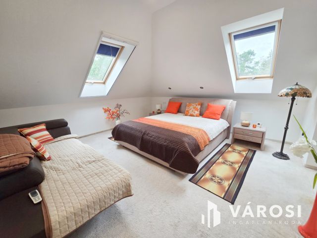 Vízparti Luxusvilla Szigethalmon