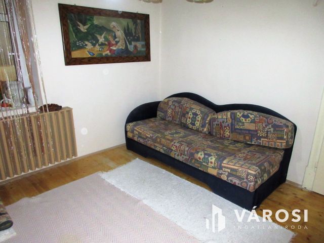 Egy igazi lovas paradicsom Baks központjában